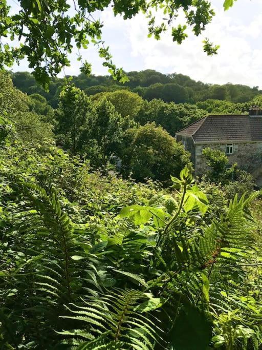 Cosy Retreat In Beautiful Cornwall Helston Exterior foto